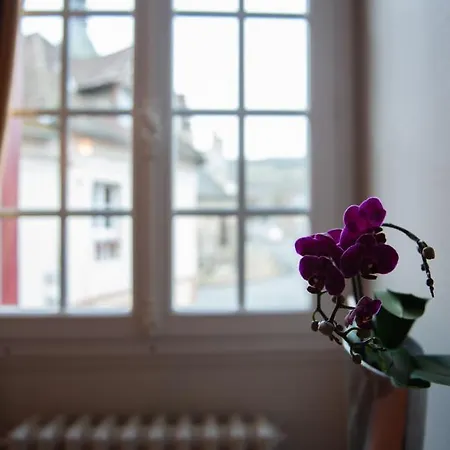 Guest house La Maison Carpe Diem