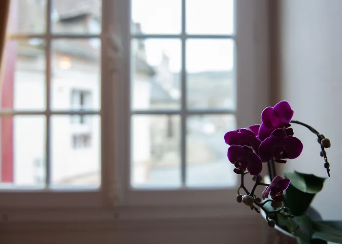 Guest house La Maison Carpe Diem